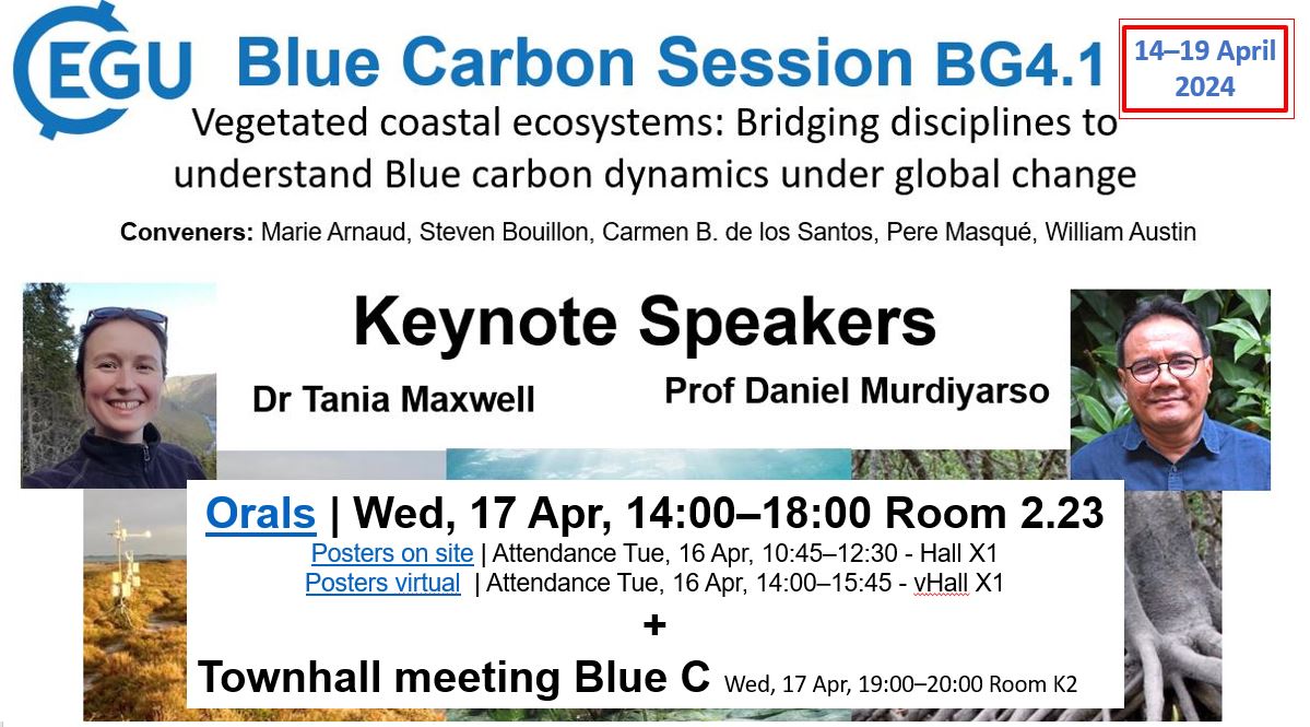 📣Dear #EGU2024 participants: if #bluecarbon is your thing, don't miss our session BG4.1 on Wednesday (orals) and Tuesday (posters). 🧑‍🏫Many interesting presentations are on the list plus two keynote speakers (@tania_maxwell7 & D Murdiyarso). #saltmarsh #seagrass #mangroves #EGU