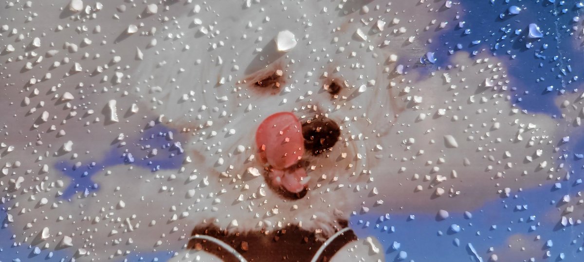 SteveMulville's tweet photo. Home Sweet Home π‘
April showers and heavy at that this morning..rain and hailπ¨π¦ and windy too battering our humble abode π here in Aintree
At the midpoint of our Spring now..
Feeling wintry but that's our #verybritishweather for you...π
#weatherthoughts https://t.co/CgBVtFEpUA