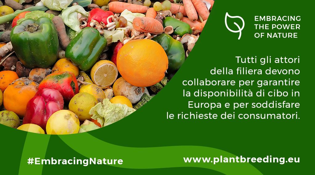 Per combattere lo spreco alimentare è fondamentale investire nell’#InnovazioneVegetale, lo strumento per garantire agli agricoltori varietà più resistenti e per offrire ai consumatori prodotti in grado di conservarsi più a lungo 

#EmbracingNature