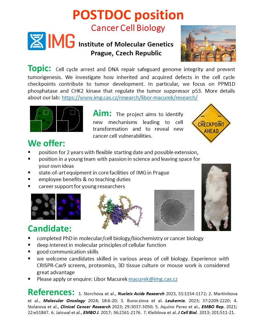 We are looking for a postdoc to join our team in Cancer Cell Biology lab at @imgprague to investigate how defects in cell cycle checkpoints drive tumorigenesis. Interested candidates with expertise in cell biology, 3D cultures or protein biochemistry apply: macurek@img.cas.cz