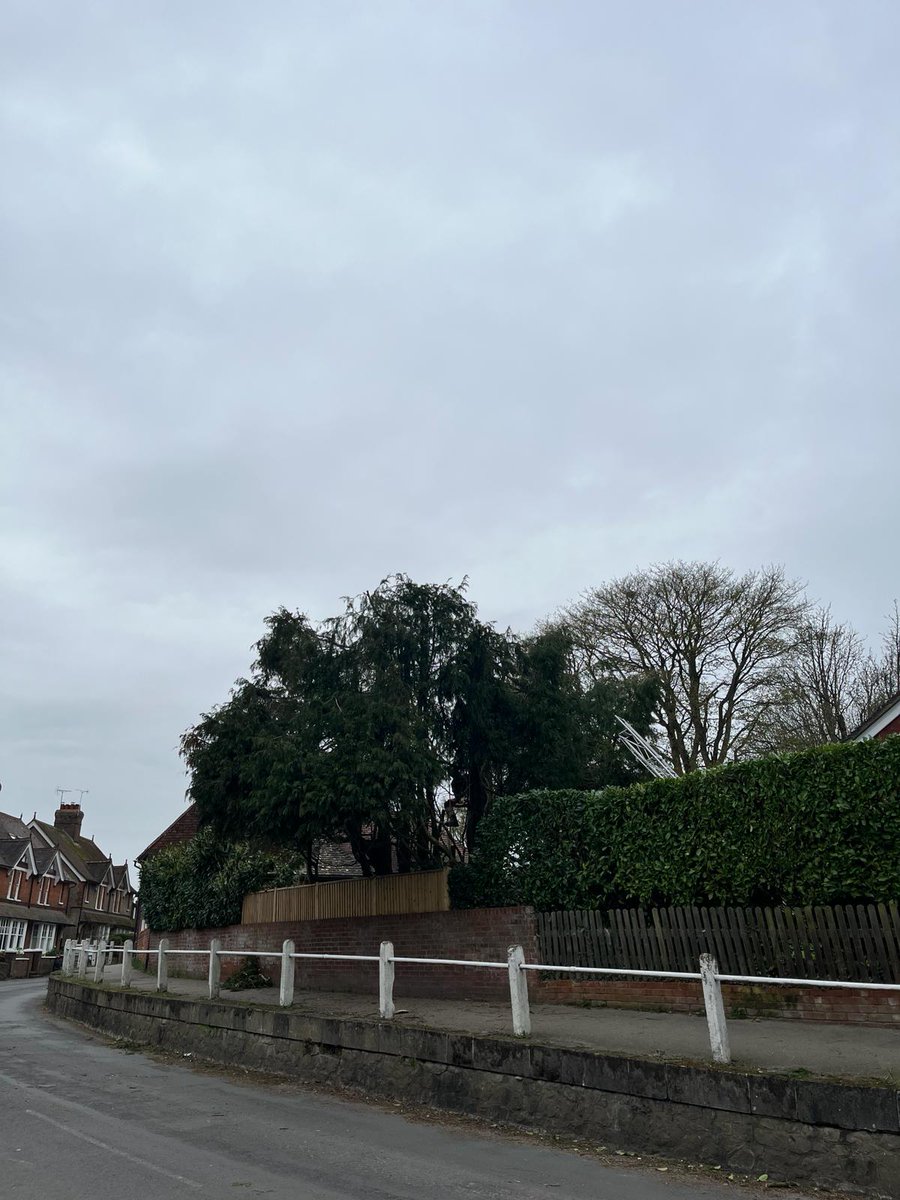 TreeProLtd's tweet image. Enhancing Safety and Aesthetics: A Case Study on Reducing the Height of a Conifer on Lenham High Street💪

Read more here👉 bit.ly/43Rj60T