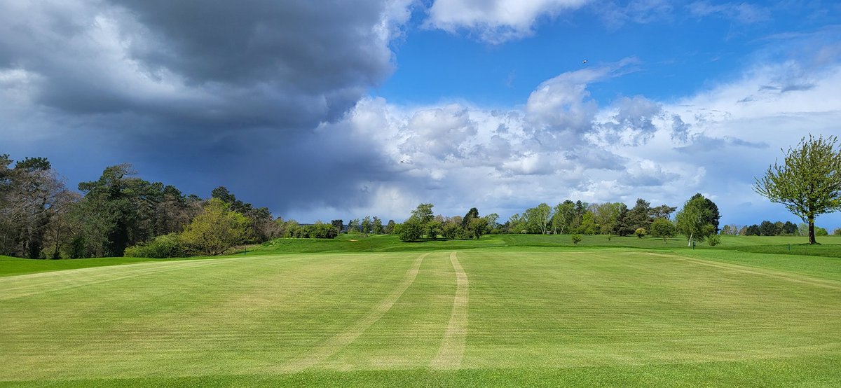 Aaron Bowen tweet media