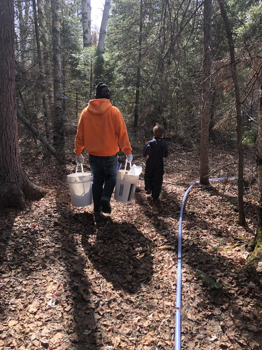 The knowledge that I learned from my grandfather is now passed by my sons to their sons.5 generations of tree tappers! #birchsyrup @RockyLakeBirch @MurphTWN @KMacTWN #ShareYourWeather