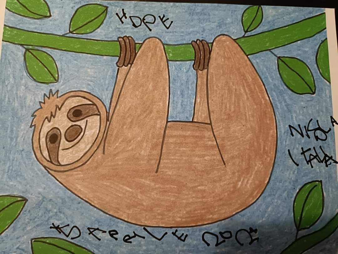 Hopetravels2's tweet photo. Pompe day - Children's art
This sweet sloth picture is by a young man called Nicola from Bari, Italy 🇮🇹 and he is 6 🦥 🤗
#PompeDay
#IPD2024 #FindYourTribe #NewBornScreening #RareDisease https://t.co/YcnDN6LpAL