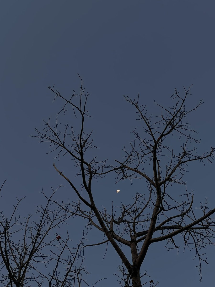 🌙