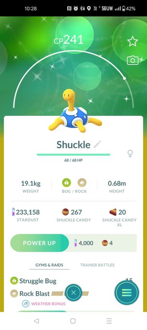 Got a shiny bois! don't Fuckle with the shuckle!   i mean she won't do much... but like. itll take forever