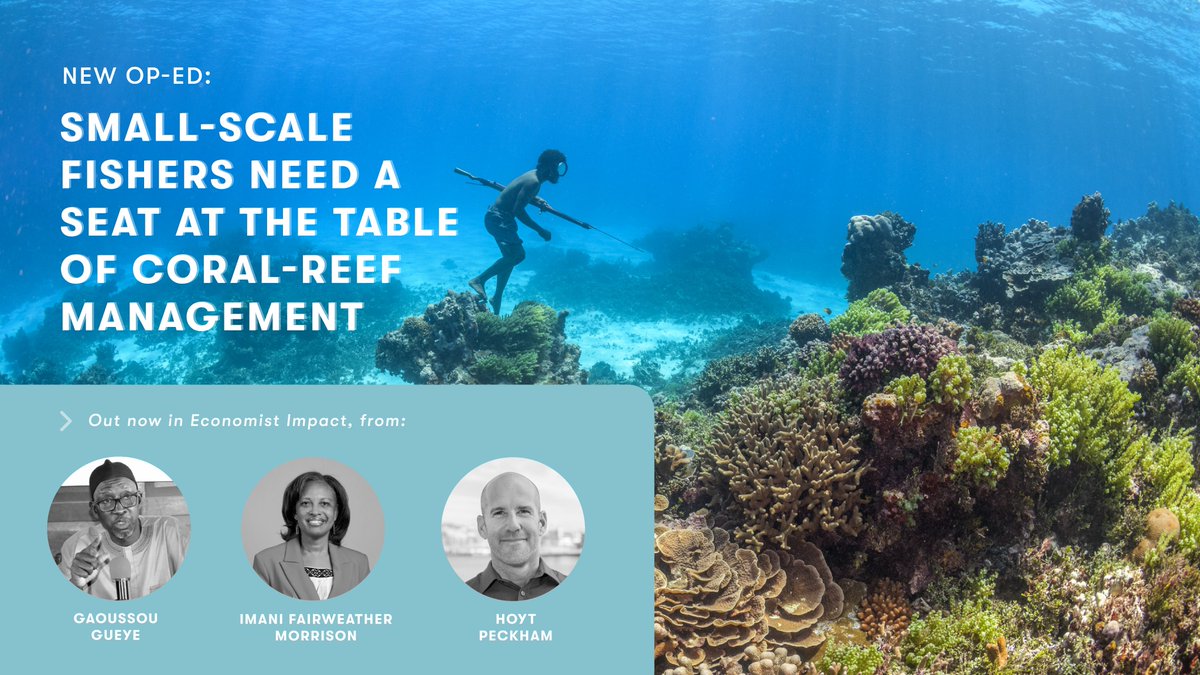 Small-scale fishers need a seat at the table of coral-reef management, says new piece @economistimpact co-written by WCS's Hoyt Peckham at start of @OurOceanGreece. bit.ly/3VUAdNm