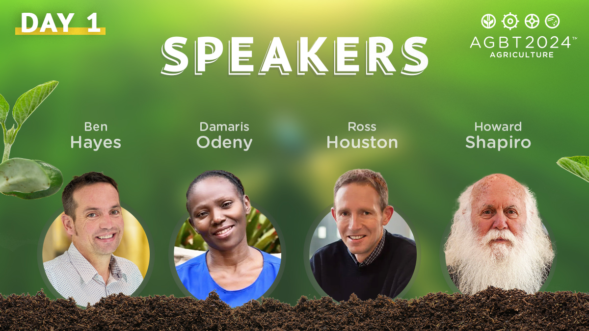 agbt's tweet photo. Day 1 at @AGBT Ag 2024 kicks off with four rock star speakers. Ben Hayes from the University of Queensland, @odeny from @ICRISAT, @RossHouston from Benchmark Holdings &amp; Howard Shapiro from @ucdavis start our day. Don't miss a minute. #AGBTAg https://t.co/EL0cRk3GeK
