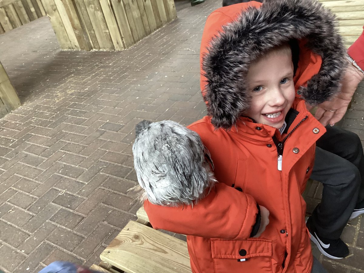 JORPS_1's tweet photo. #JOREYFS have had egg-citing day at Ash End Farm today! The children loved learning about the animals, their young and getting stuck in with feeding them. “This is the best day ever” was how one child summed up the day. #firsthandexperiences #engageandenjoy https://t.co/MnbvjT66SX