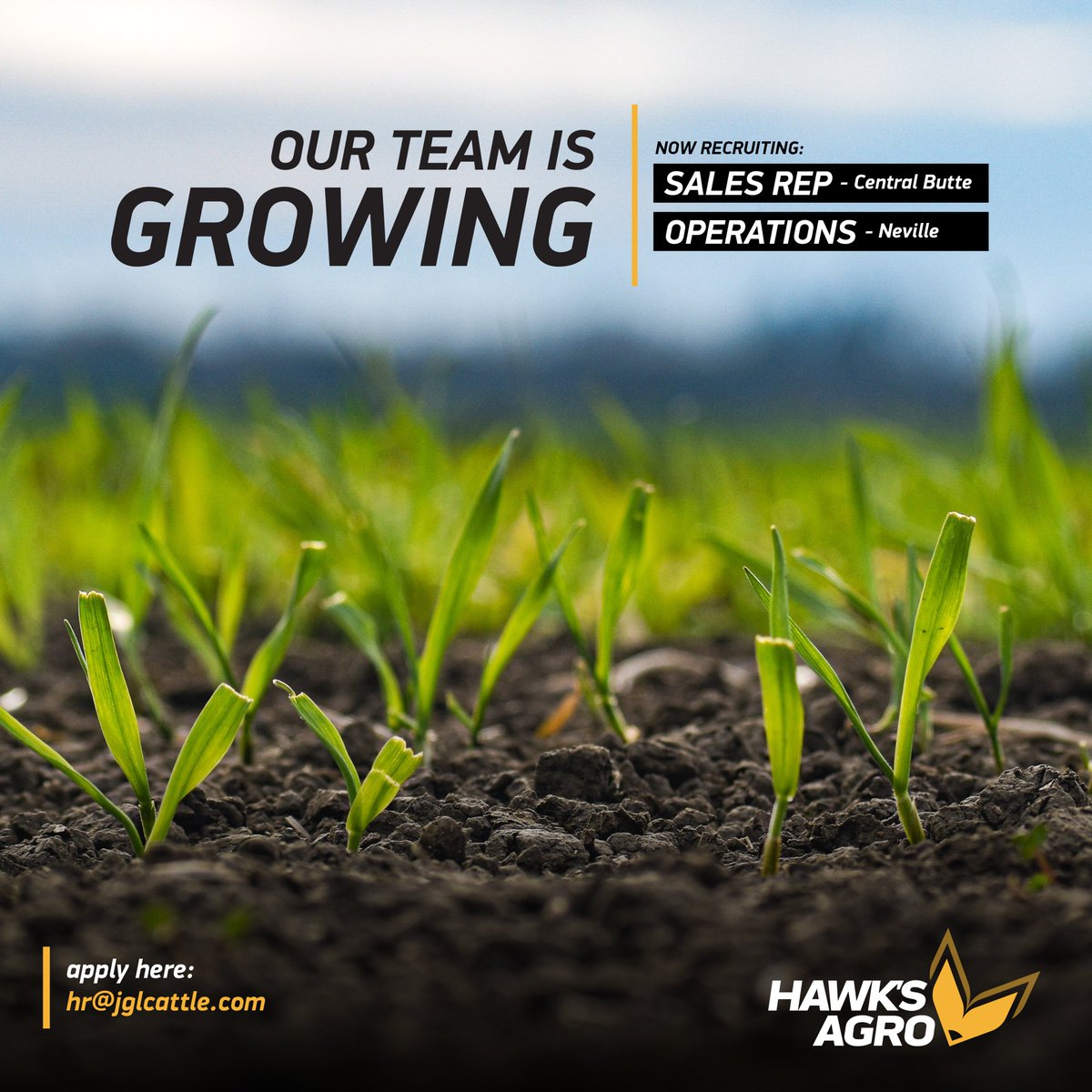 Our team is growing and we could be looking for you or someone you know! Please share to get the word out!

View all open opportunities and apply today hawksagro.com/join-our-team/