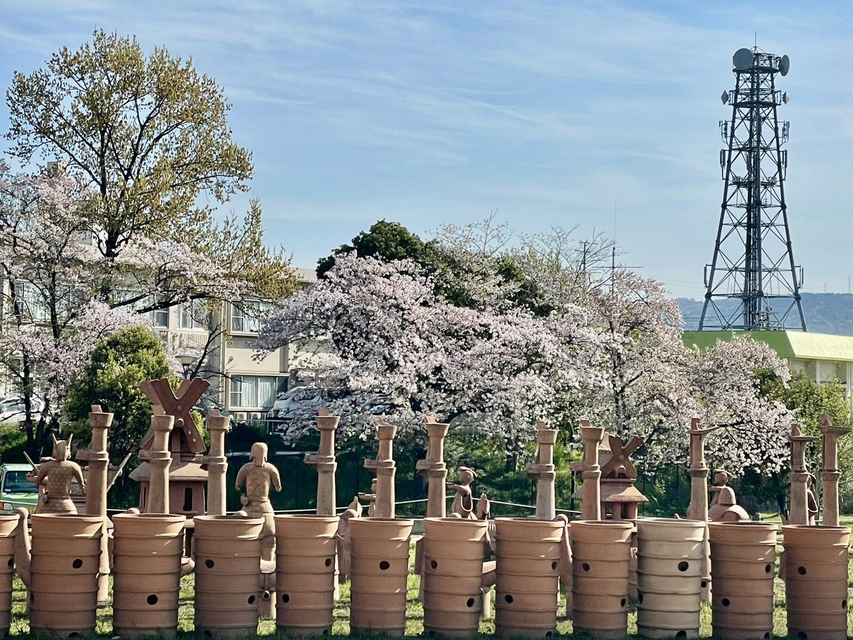 820_028's tweet photo. 花見しながら埴輪を望むか、埴輪メインの花見がいいのか悩むところ #お花見 #お花見スポット #埴輪 https://t.co/tc3EjFCiHk