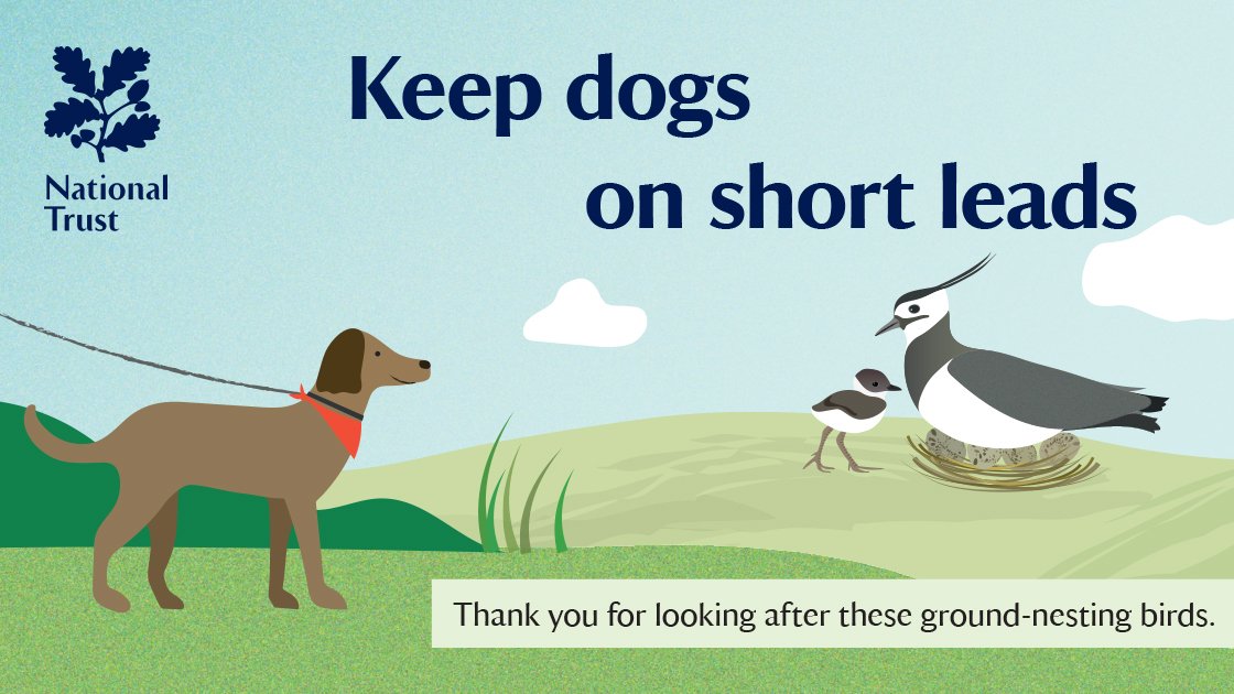 Dogs on leads are very welcome across Sandilands. 

We ask that you keep your dogs on a short lead when visiting to protect ground-nesting birds, other wildlife, and visitors.