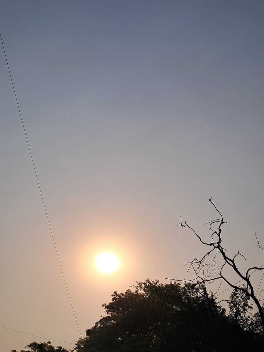 lightseekerusha's tweet photo. To gain your own voice,
forget about having it heard.
Become a saint of your own
province and your own
consciousness.
- Allen Ginsberg
#NatureLover #Sunrise #Birder #Literature #BeautifulThought #DelhiMornings https://t.co/wvwQ6I5zd2