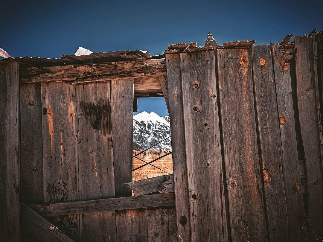 Peek-a-Boo, Ajax 🏔 📸: Palma Caruso Photography