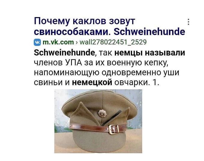 <a href="/SNechatv/">Sergey Nechaev</a> <a href="/Avrelian83451/">Лоргар Аврелиан</a> Типичная свинособака.