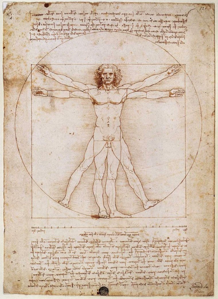 Which Vitruvian Man are you? The Vitruvian Man was created by Leonardo da Vinci around the year 1487. It is accompanied by notes based on the work of the famed architect, Vitruvius Pollio. The drawing and text are sometimes called the Canon of Proportions. It is in the Gallerie…