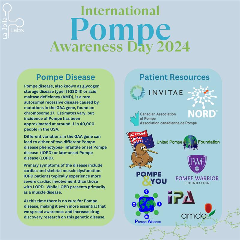 lajollalabs's tweet photo. Today is International Pompe Awareness Day!
Learn more in our infographic below.
#pompedisease #TogetherWeAreStrong #EveryMoveCounts #PompeDiseaseDay #raredisease #lajollalabs #LJL #rarediseaseawareness #RareResearch #researchrare #drugdiscovery #Pompe https://t.co/Qmzg73FAYF