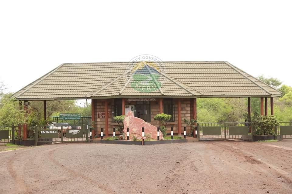 DiscoverMeru's tweet image. Did you know that the grave  of one of the cheetah ,name Pippa &amp;amp; her cub  can be found at @KwsMeru 

Pippa was the famous cheetah who was adopted by Joy Adamson in Meru National Park along side Elsa the lioness.  

#KaribuMeru #homeofadventure #magicalmeru