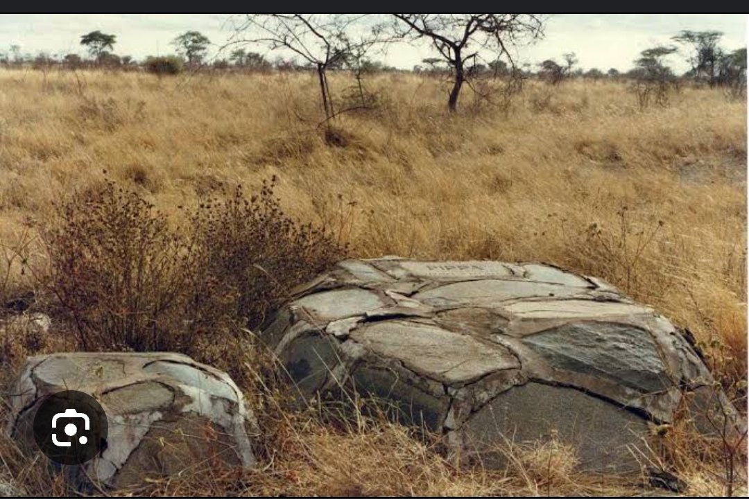 DiscoverMeru's tweet image. Did you know that the grave  of one of the cheetah ,name Pippa &amp;amp; her cub  can be found at @KwsMeru 

Pippa was the famous cheetah who was adopted by Joy Adamson in Meru National Park along side Elsa the lioness.  

#KaribuMeru #homeofadventure #magicalmeru