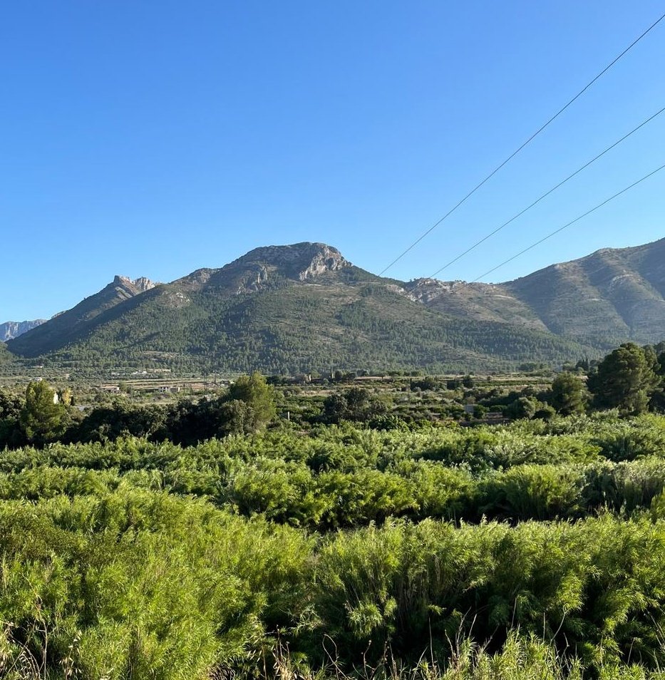 El parlar de la Marina Alta tweet media