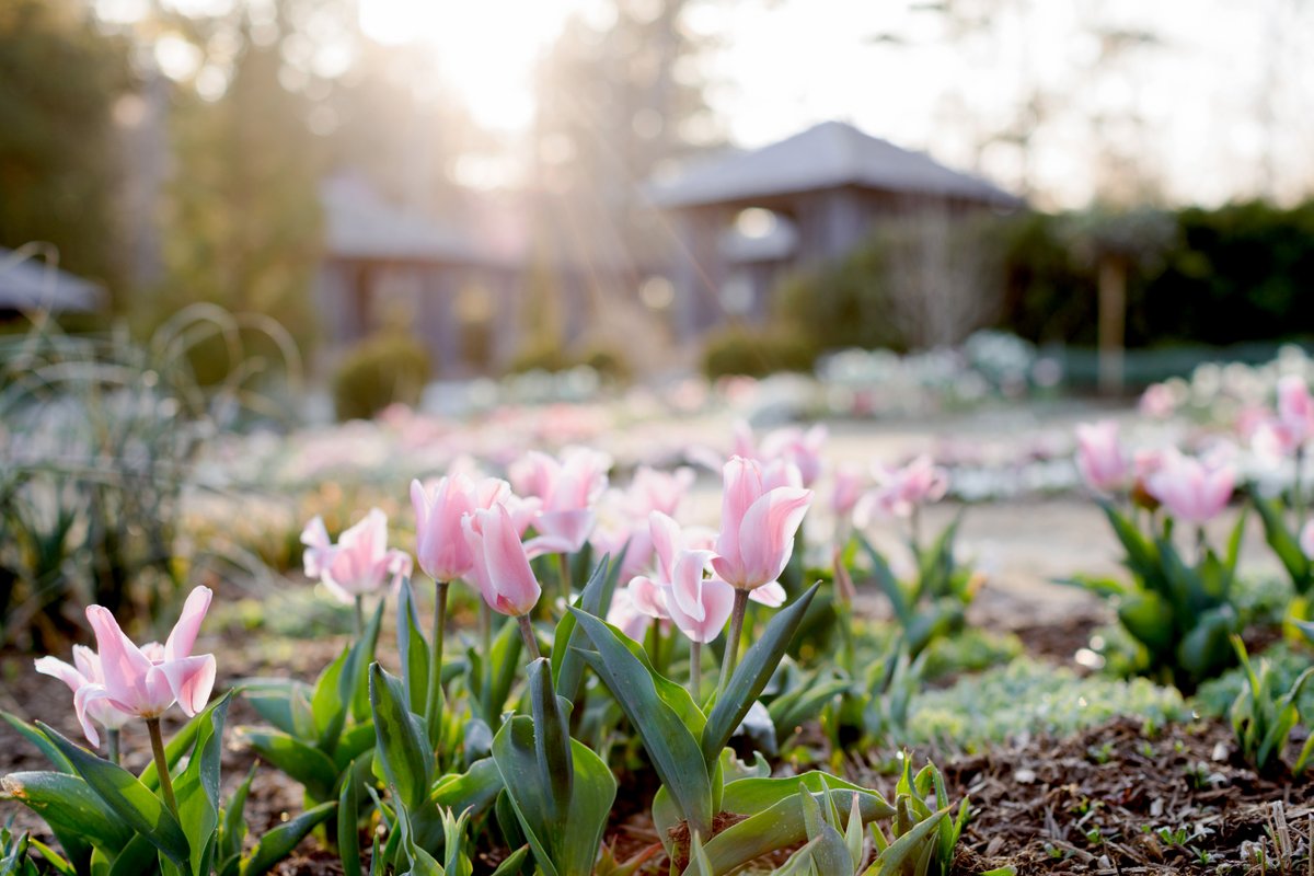 Reynolda House tweet media