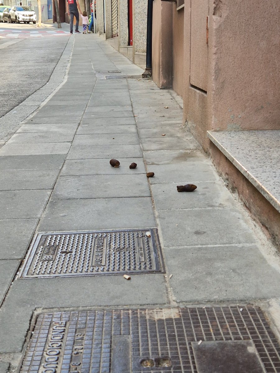 amarrako's tweet photo. @AssociacioVaive ja que l'@ajsantfeliu no fa absolutament res per evitar que els veïns incívics (i molt porcs) deixin les merdes dels seus gossos pel carrer, he pensat que podriem fer un fil amb les fotos de les merdes.
#SantFeliuDeMerda https://t.co/FRrDlgV2uk