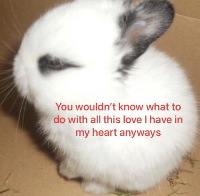 ✧ (@northstardoll) on Twitter photo 