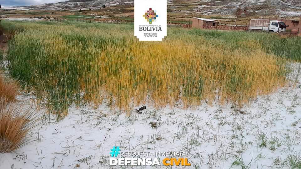 mindefbolivia tweet picture