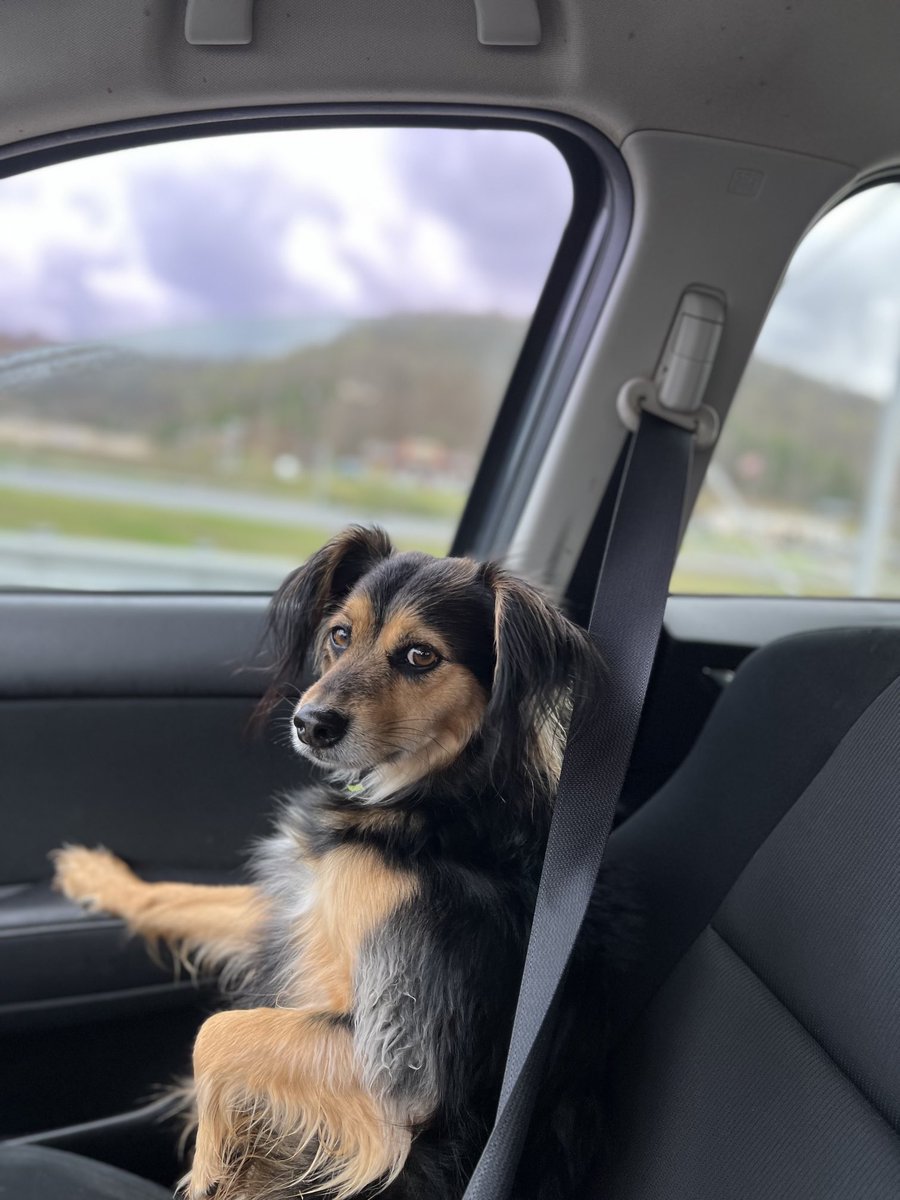 Lewis is very serious when he rides in the car.