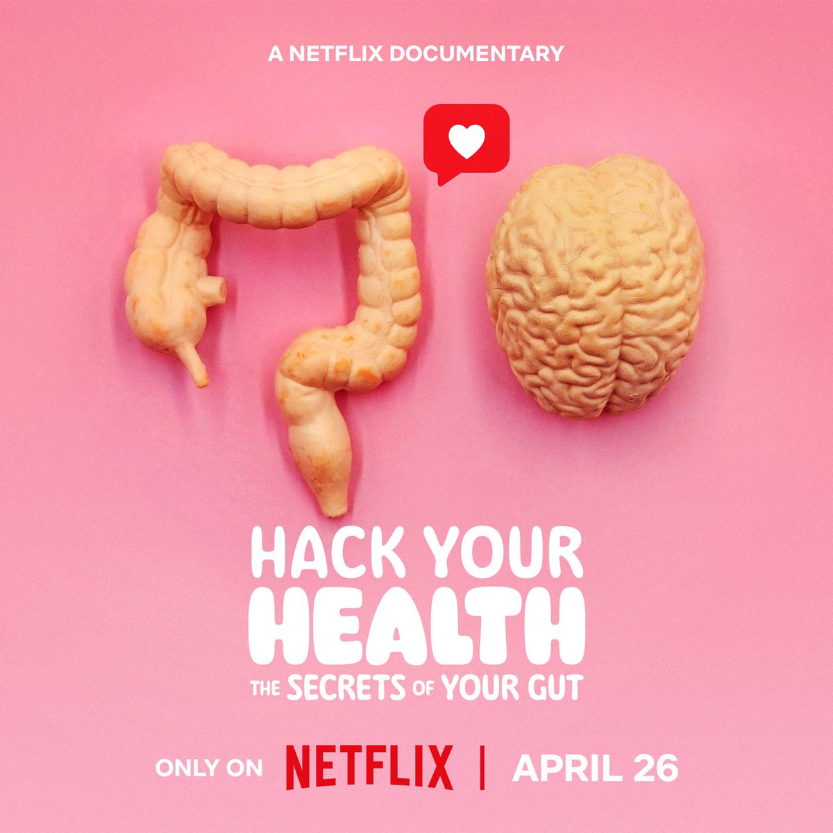 Hack Your Health: Secrets of your Gut, a new @netflix documentary will premiere globally on Thursday 26th April, and will feature @UCC’s @jfcryan, who is a global expert on gut health. ucc.ie/en/news/2024/h…