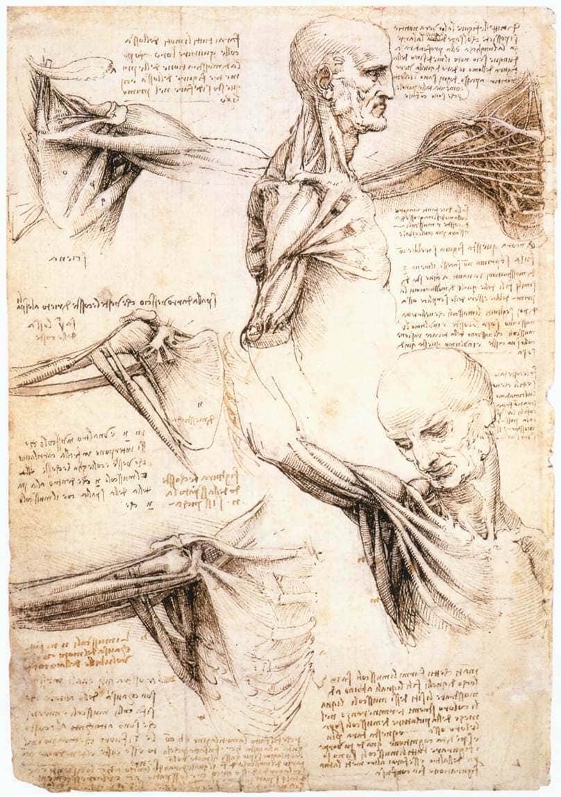 7. Anatomical Studies Da Vinci is also considered one of the greatest anatomists the world has ever known. He dissected more than 30 bodies of both genders and all ages during his lifetime, leaving behind many incredibly accurate anatomical drawings.