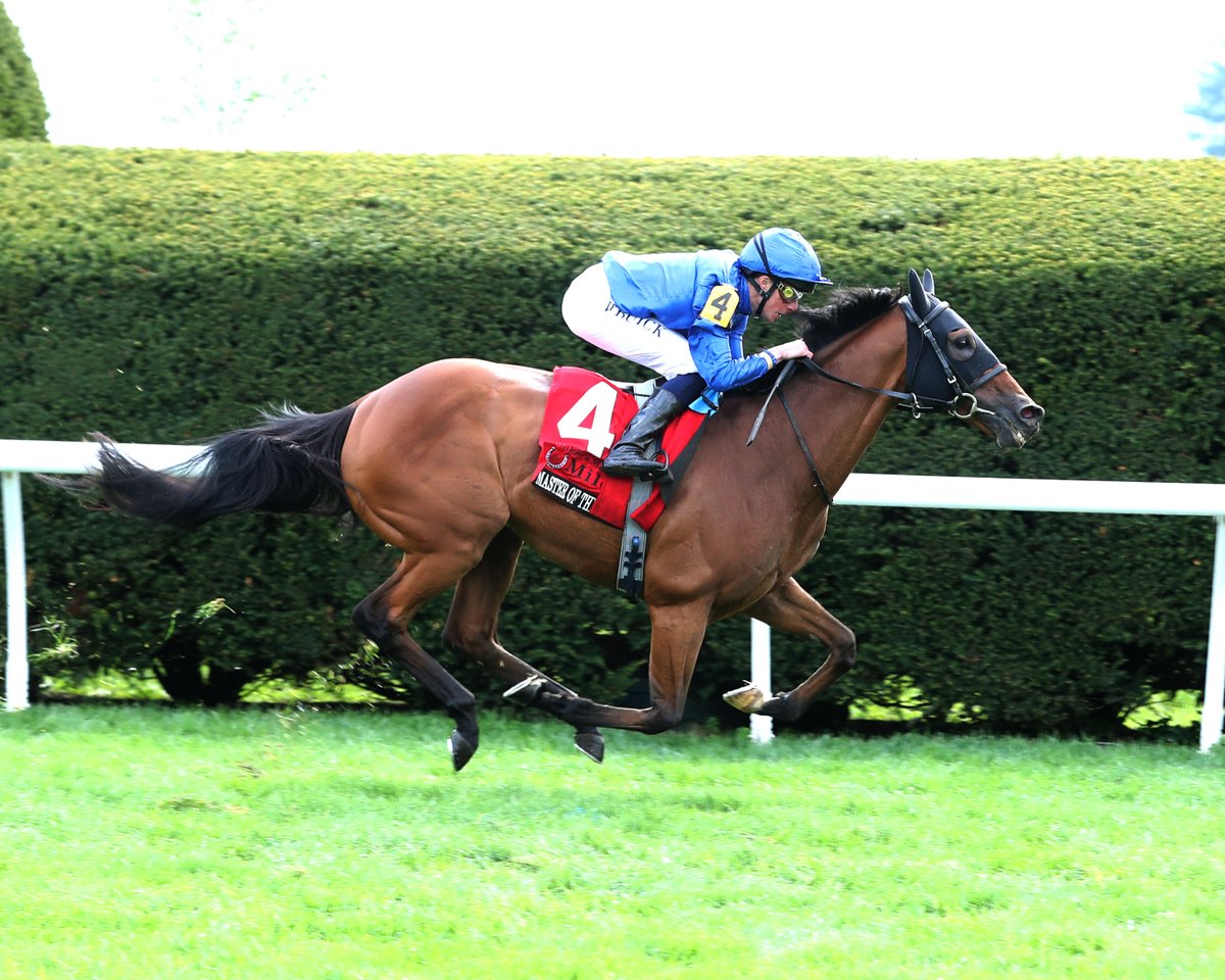 Some of the world's top horses will be on display @KentuckyDerby Week @ChurchillDowns, including: Idiomatic Master of The Seas (IRE) (pictured) Pretty Mischievous Sweet Azteca Twenty-two stakes worth $17.5 million. News: kentuckyderby.com/wp-content/upl… Noms: equibase.com/premium/eqbHor…