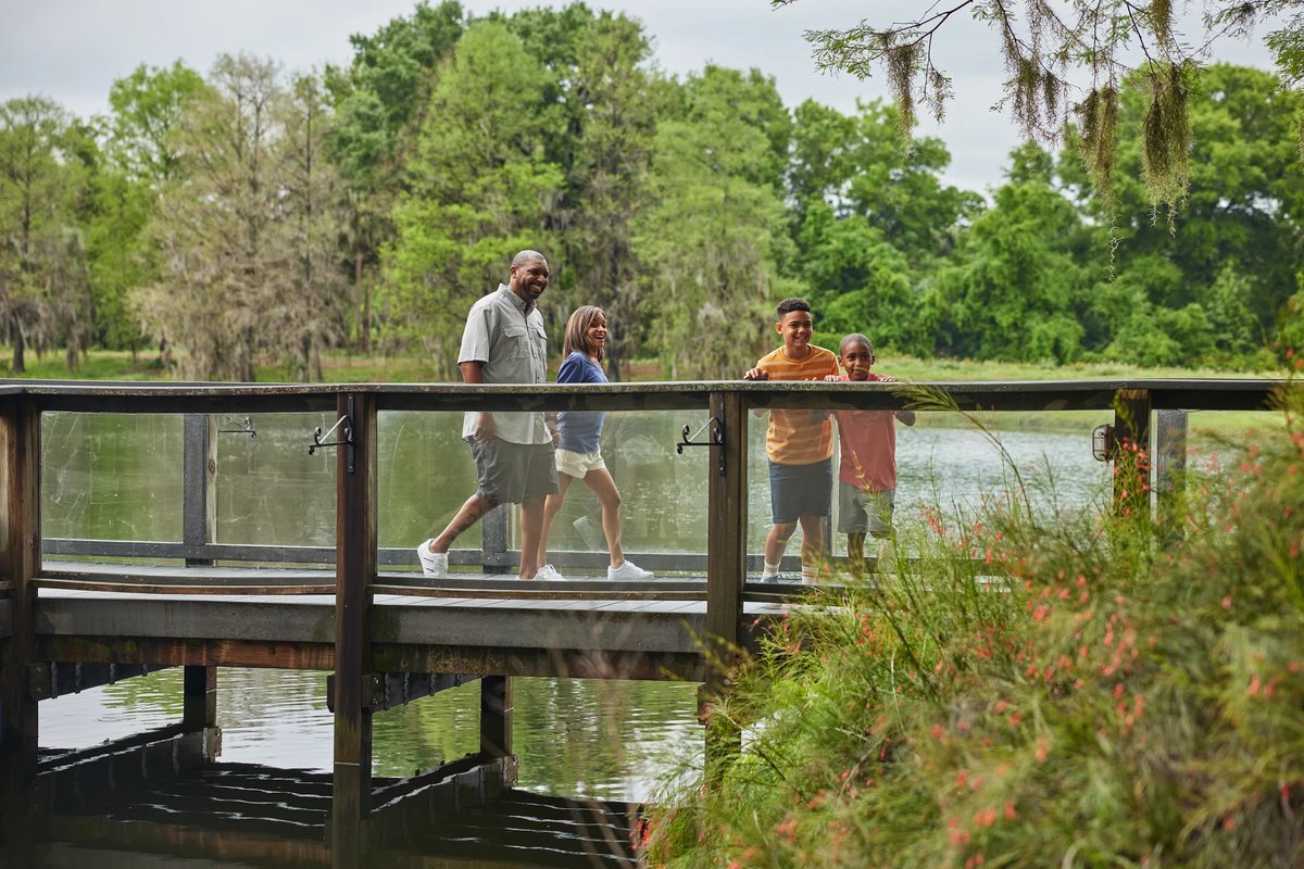 Mondays are for new adventures! Embark on a journey of exploration at the best resort in Orlando. 🌍 #TravelGoals #HyattGrandCypress