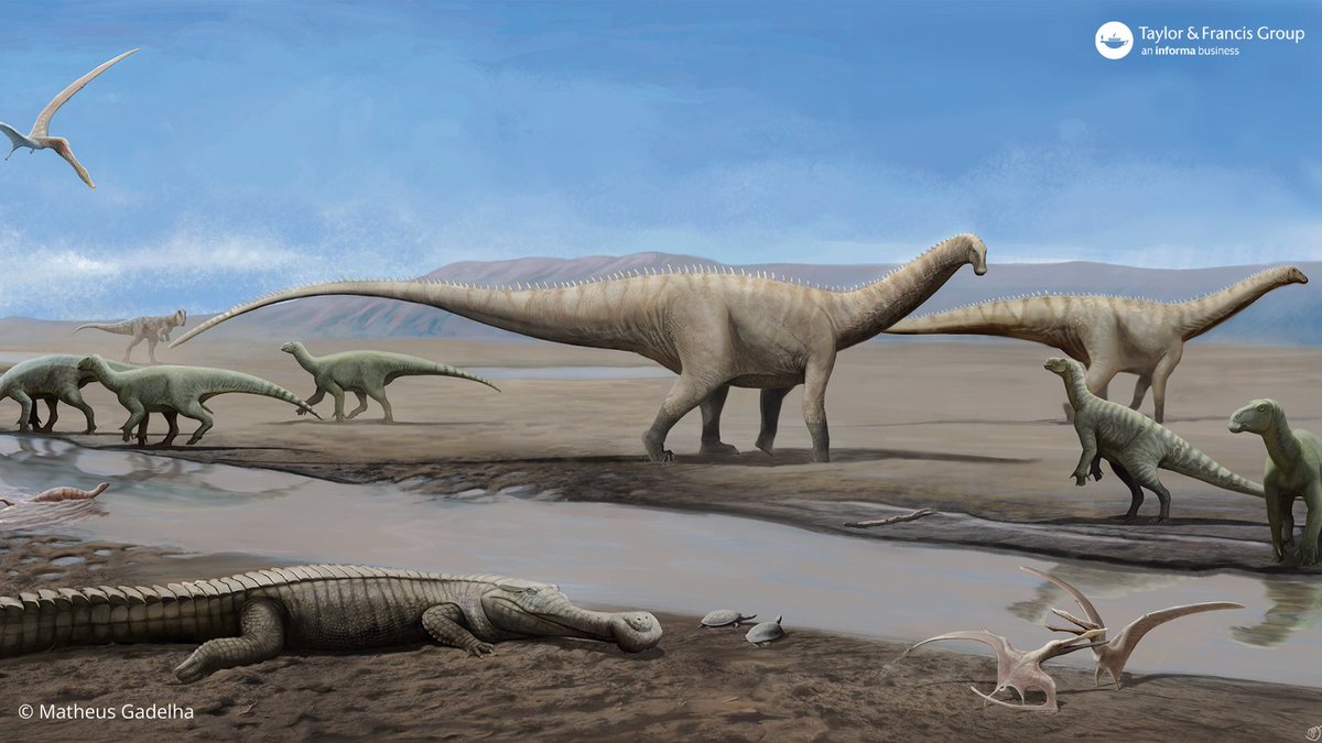 A reassessment of fossils from Brazil, previously thought lost, have been unearthed and detailed in a new study by @sedismutabilis et al. Among the fossils is the first ornithischian dinosaur from Brazil - named after the novel Tieta do Agreste. More👇 spr.ly/6013w4RDc