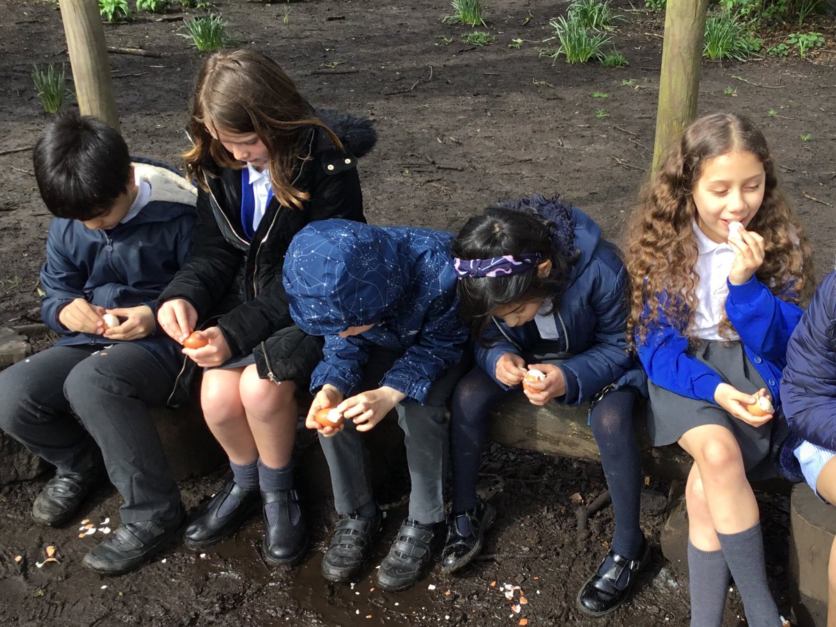 Alty CE Y4 tweet media