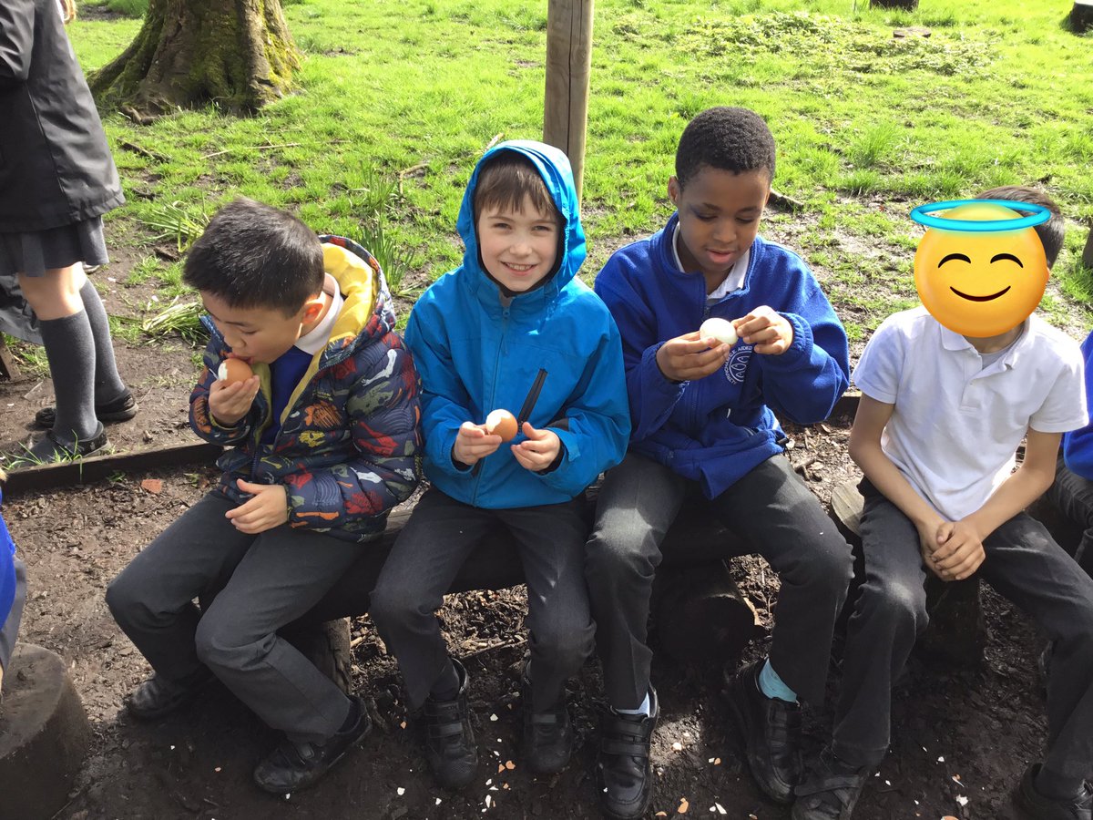 Alty CE Y4 tweet media