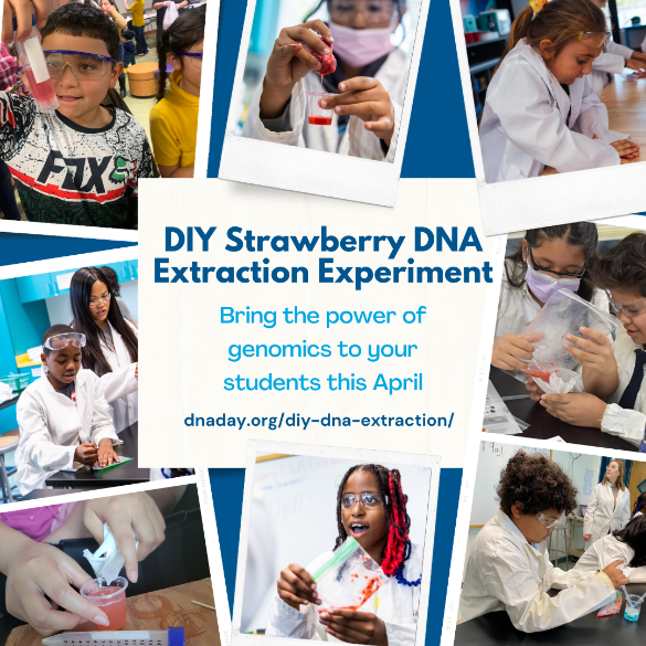 Celebrate DNA Day (April 25th) throughout April. Looking for an activity to celebrate? Get your supply list, demo videos and instructions at dnaday.org/diy-dna-extrac… Share on social media using the hashtag #Genomics4All for a chance to win prizes!