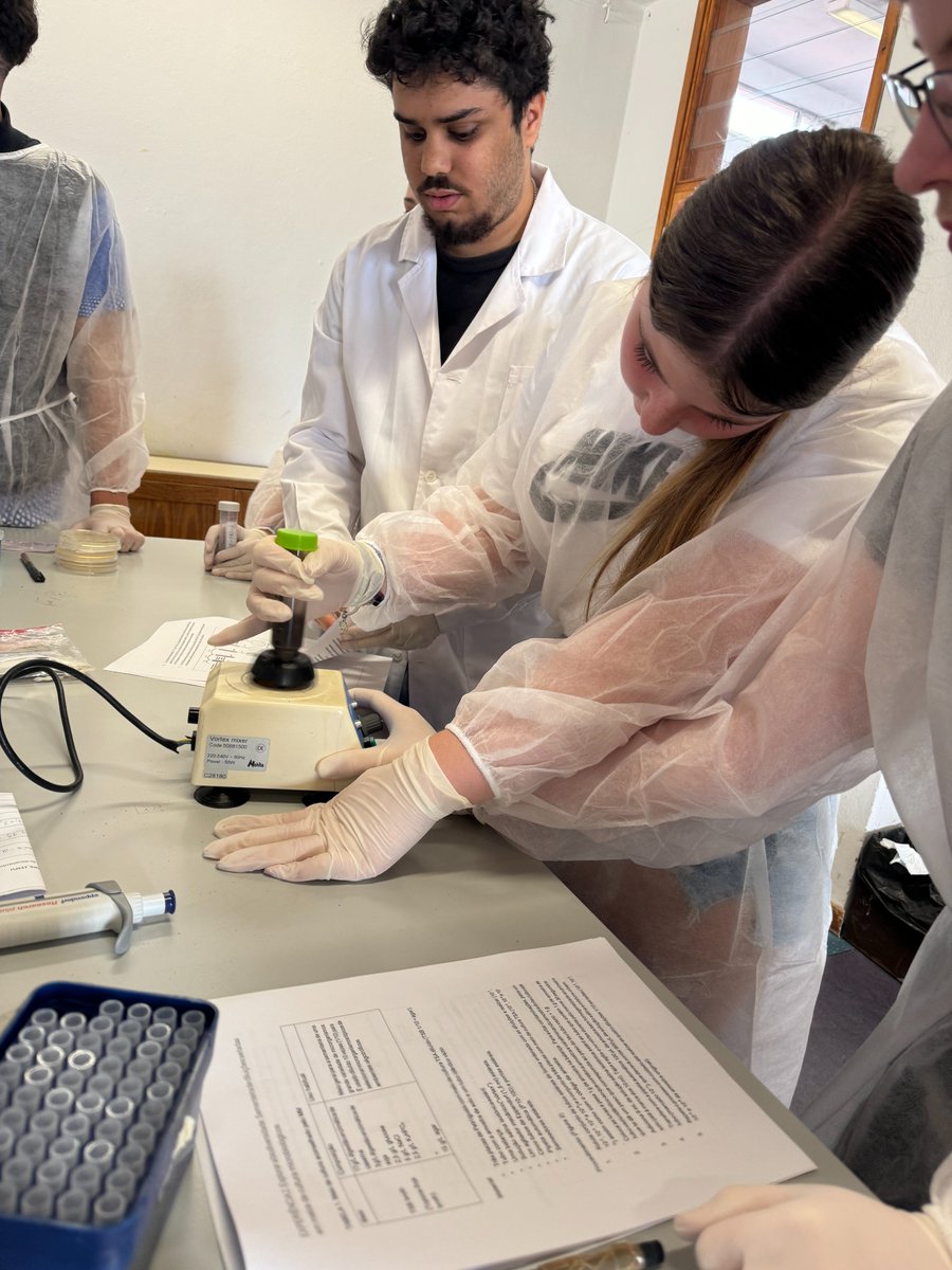 MicroMundo_IUCS's tweet image. 📌Today we had the 2nd session where we processed the soil samples collected by the students of the EBS Cristelo TEIP School!
So good to see so much enthusiasm, with some of the 9th graders' eyes shining and showing great interest in science!
@Cespu_Ensino @TOXRUNIUCS