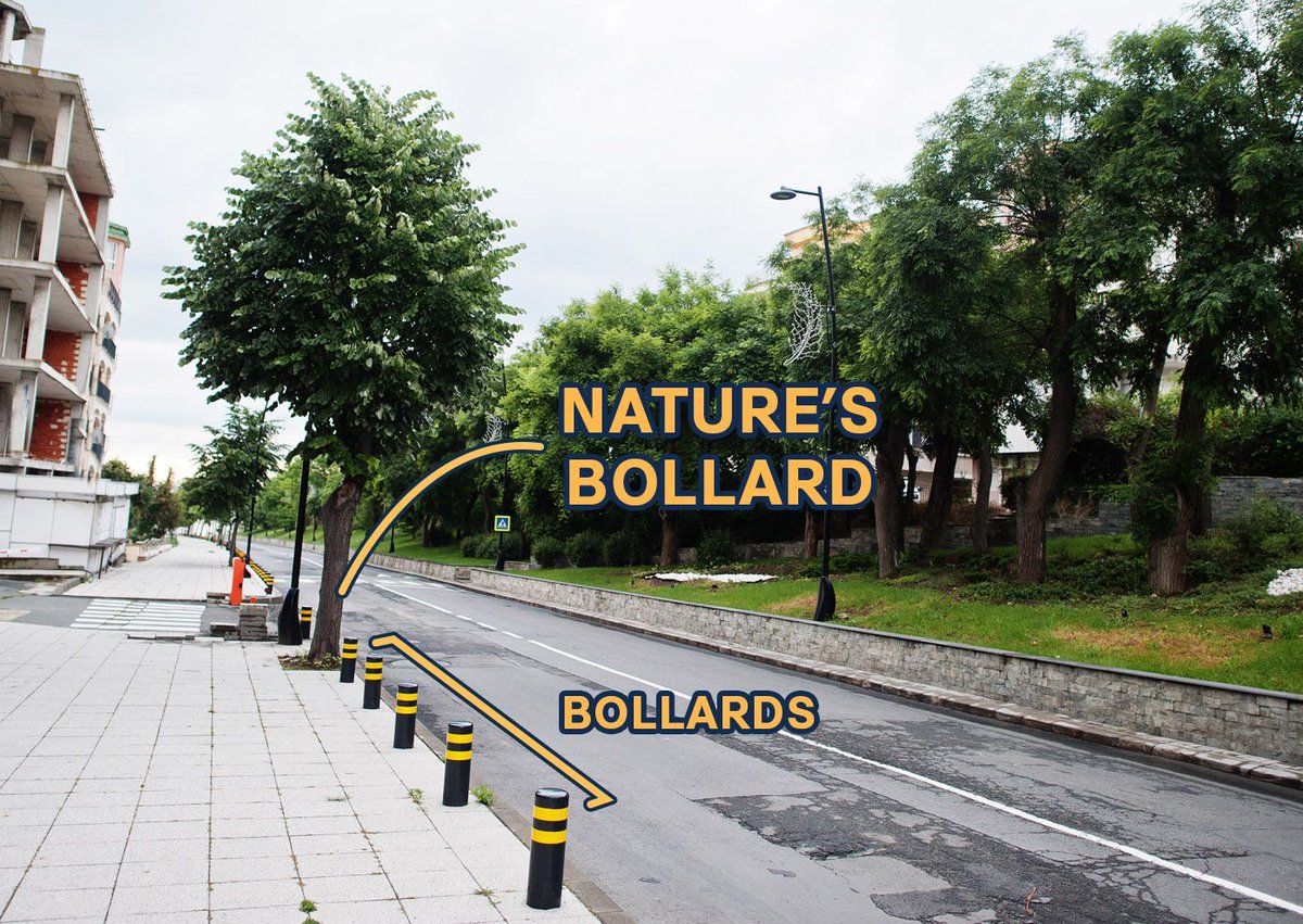 Plant a bollard