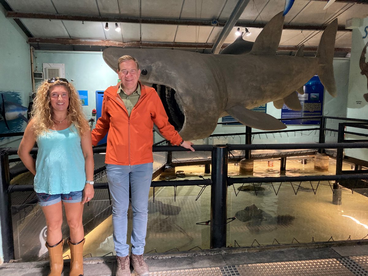 Footage of our conger eel release and around the zoo from nearly 2 years ago will be released this Wednesday, the 17th of April, on The Great British Coastal Railways on BBC 2 at 6:30pm. Give it a watch!! 🌊🧎