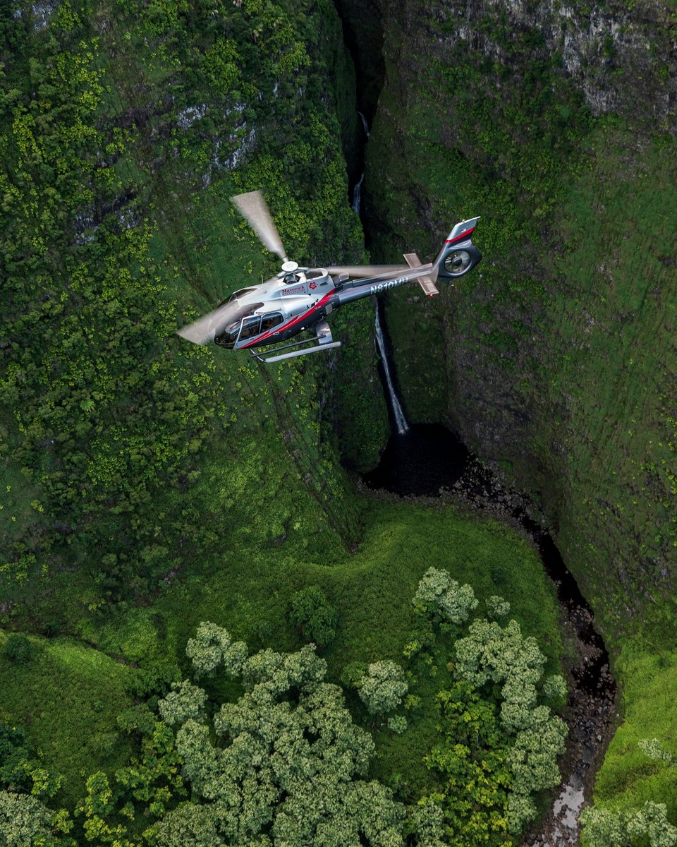 Soaring high and unravelling the hidden gems of the Valley Isle! 🌴💧 #Maui