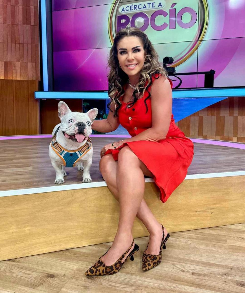 Te dejamos esta linda imagen de Rocío Sánchez Azuara y su mascota para alegrarte el día. 🥰🐶 ¡No te la pierdas en #AcercateARocio! 📸: @rocio_sazuara