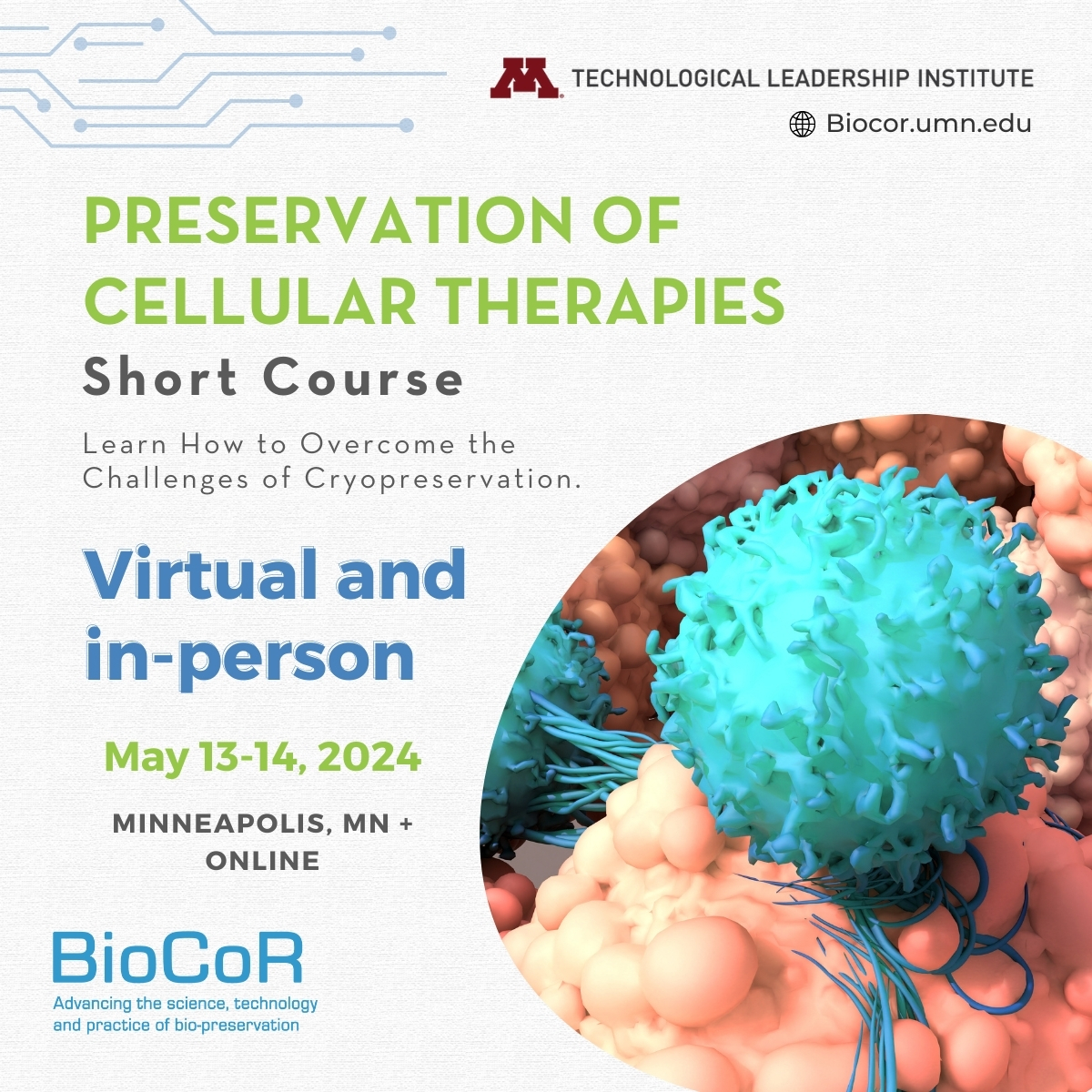 Today's the final day to get your early bird discount for the Preservation of Cellular Therapies Short Course on May 13-14! Led by Dr. Allison Hubel, this course covers everything from cryopreservation fundamentals to emerging trends. Register now to save: bit.ly/3QT93BZ