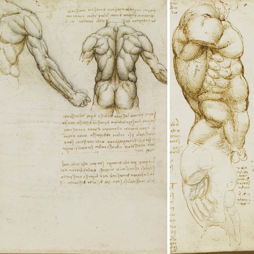His detailed studies of organs, bones, vessels and muscles have stood the test of time, becoming go-to illustrations in medical textbooks. Experts argue that 'his work remarkably anticipates modern techniques such as MRI scans and 3D computer modeling.'