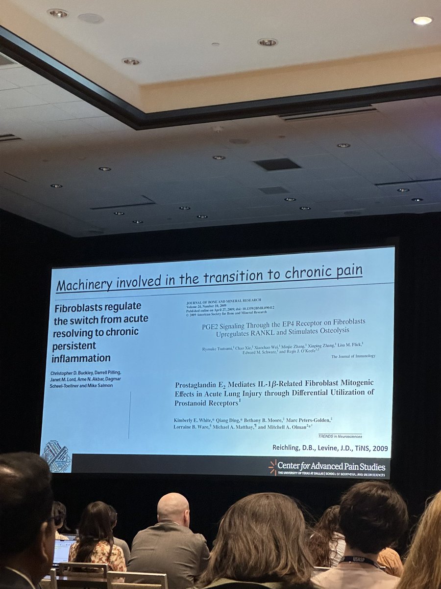 Dr. Burton from @UTDPainCenter kicks off #USASP2024 with an excellent presentation on the role of fibroblasts in inflammatory pain -highlights sex-dependent acute mechanical sensitivity through activation via TLR4 -highlights role in transition from acute to chronic pain @US_ASP