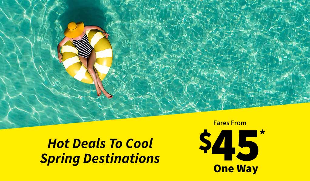 Spirit Airlines tweet media