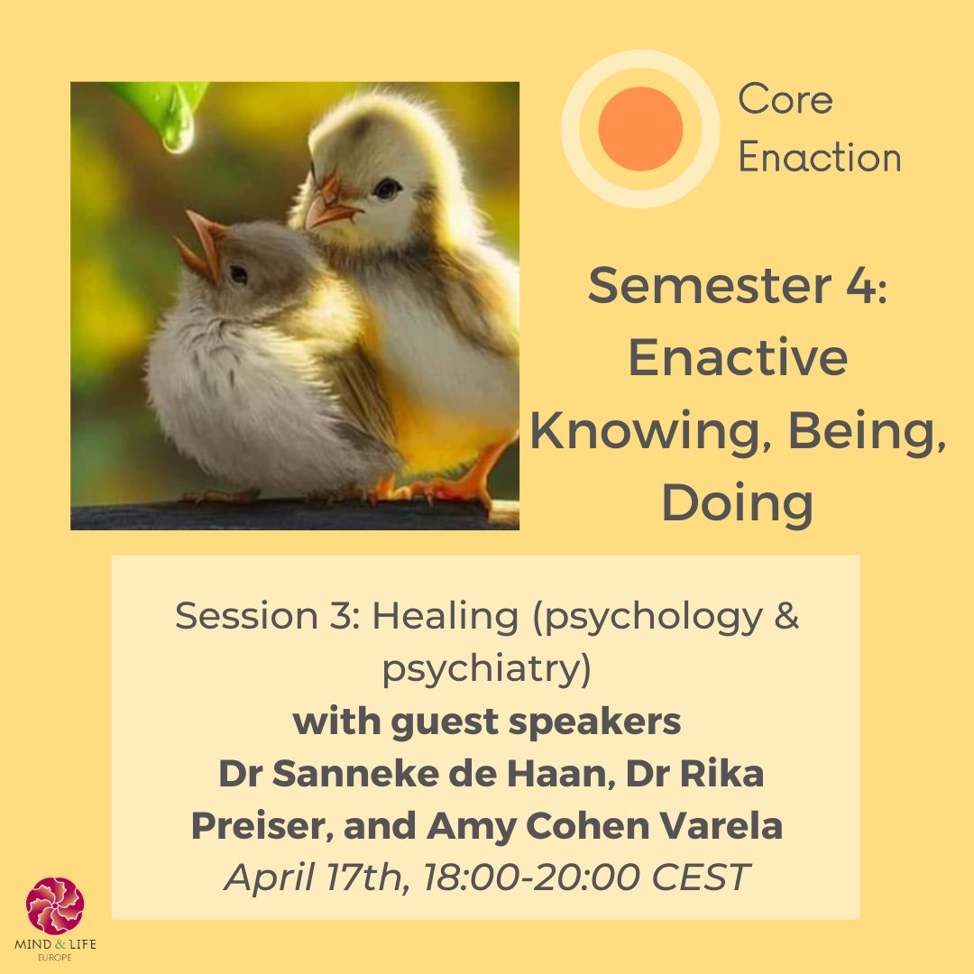 📣 The 3rd session of Core Enaction Semester 4 is this Wednesday, 17th April! Join our guests Dr Sanneke de Haan, Dr Rika Preiser, and Amy Cohen Varela, live on our MLE YouTube channel at 6pm CEST: ow.ly/lH8n50RgbJc Learn more about the programme: ow.ly/rTMj50RgbJg