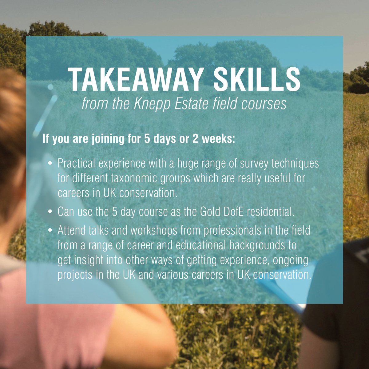 Operation Wallacea tweet media