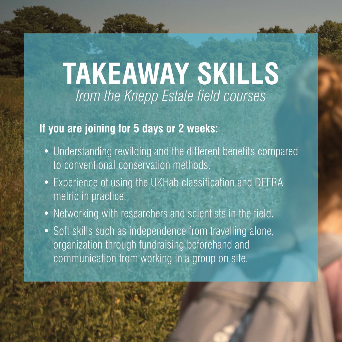 Operation Wallacea tweet media