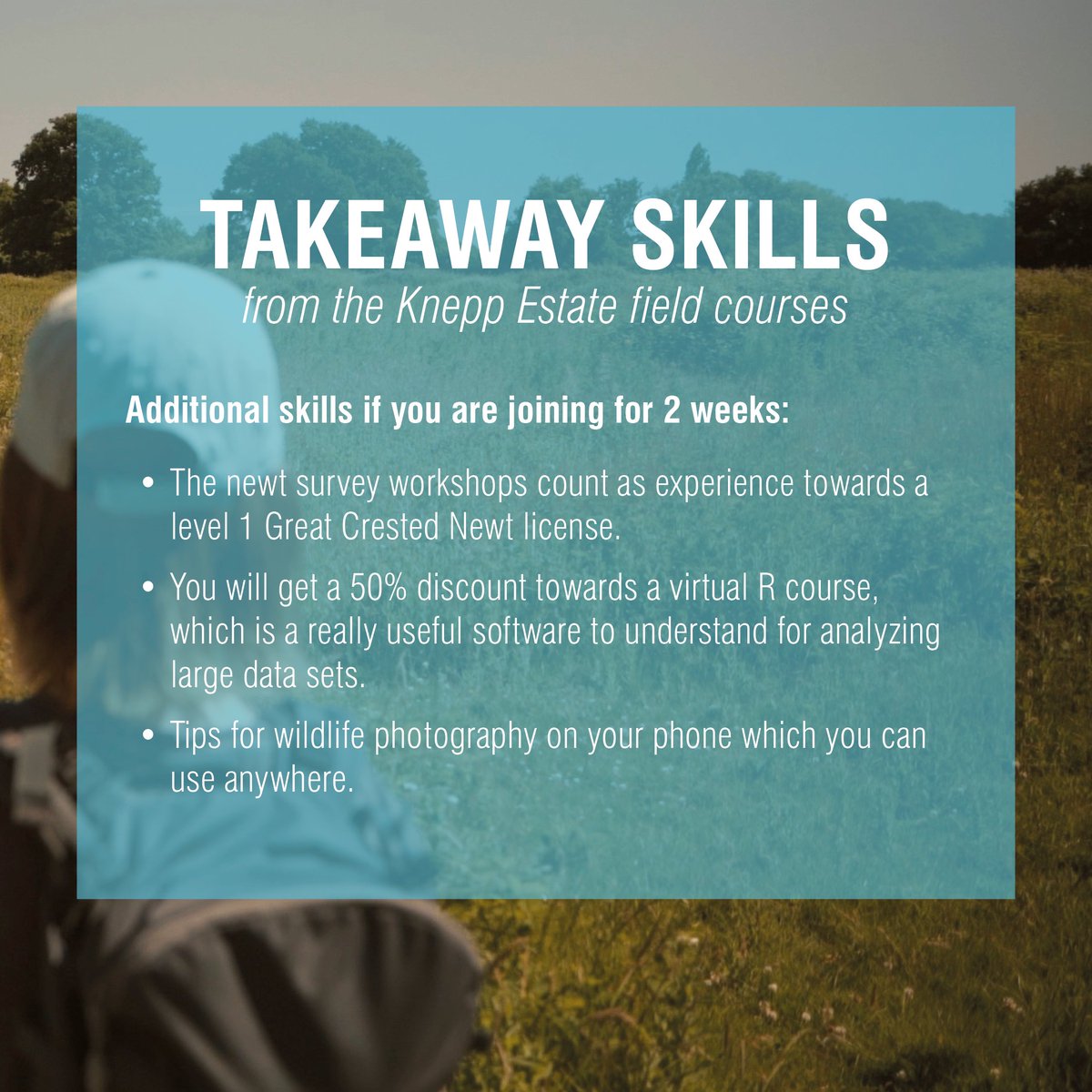 What skills can you gain on a Knepp Estate field course? 🌳🦎 Discover insights from rewilding experts, enhance your practical survey techniques, and develop valuable soft skills. Register for a talk to hear all about this unique opportunity at: opwall.com/free-webinar/